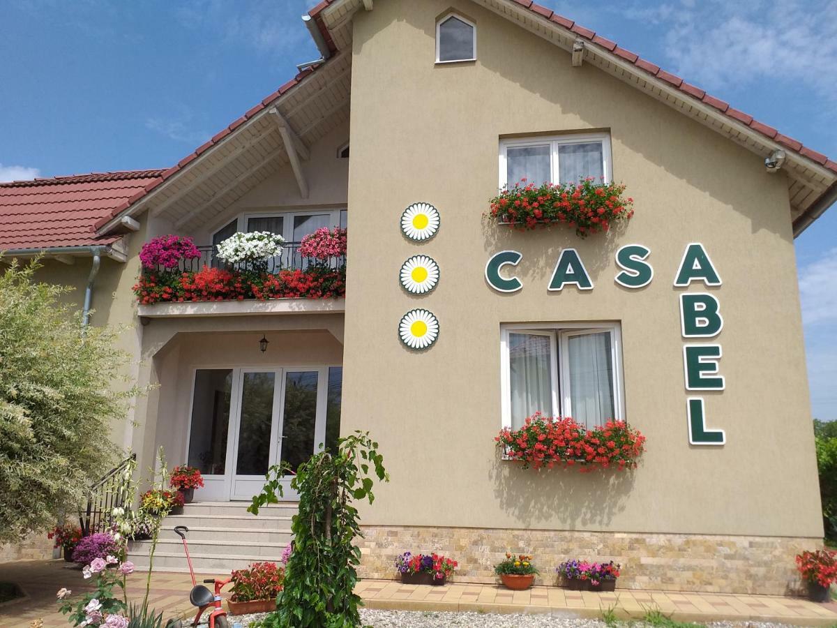 Hotel Pensiunea Abel Mihai Viteazu  Exterior foto